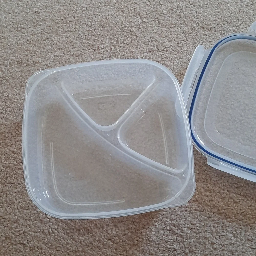 Lock & Lock Divided Plate Container - Picture 3 of 4